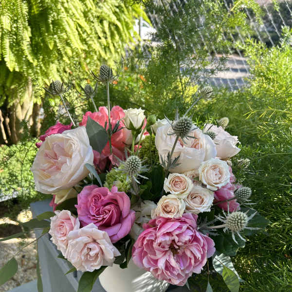 Pink and white roses in a white vase with spiky thistle accents