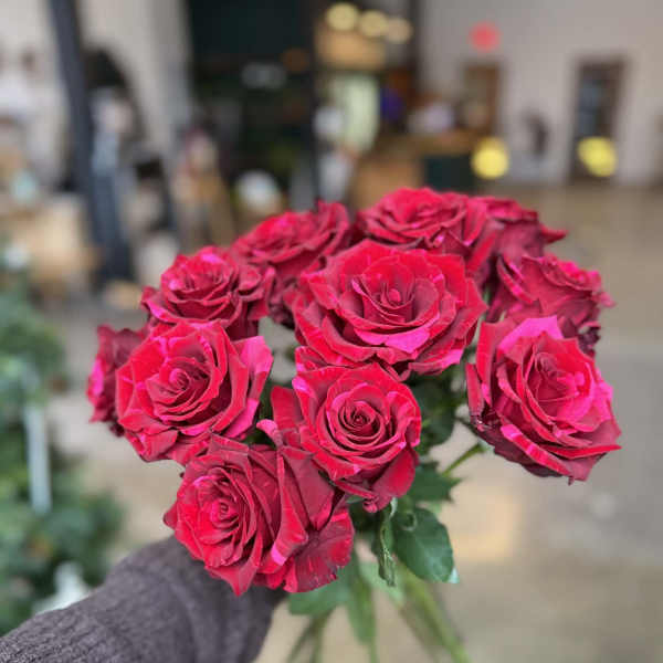 Red Panther Roses in a Vase
