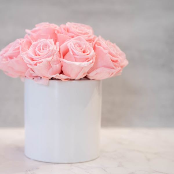 Pink Roses in White Cylinder