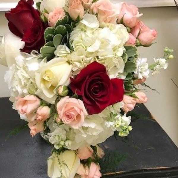 Cascade bouquet of red, white, and blush roses with white hydrangea