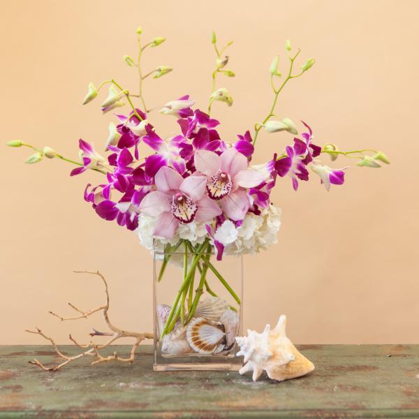 Pink and purple orchids in a clear glass vase with seashells