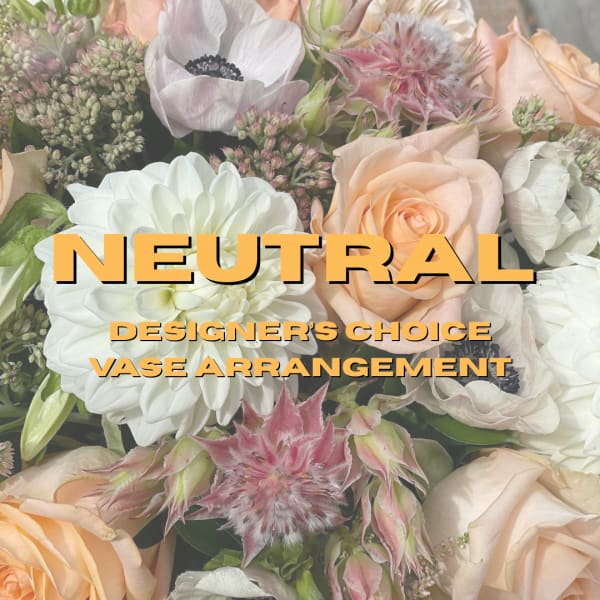 Soft & Neutral Designer’s Choice