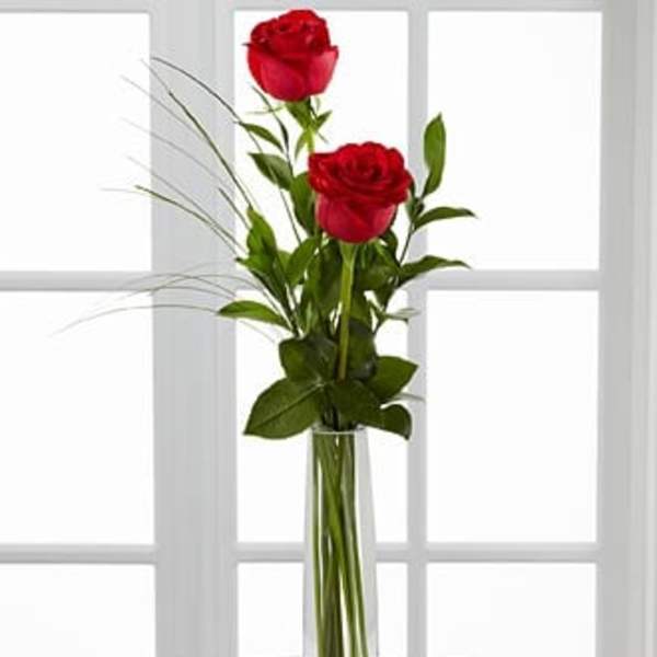 Two red roses in a tall clear glass vase