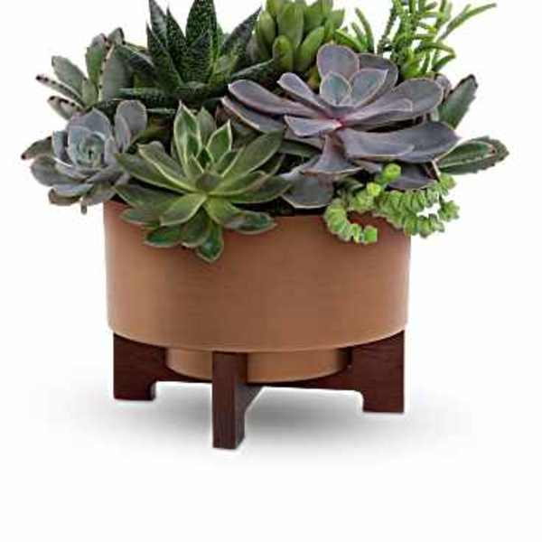 Copper Succulent Garden