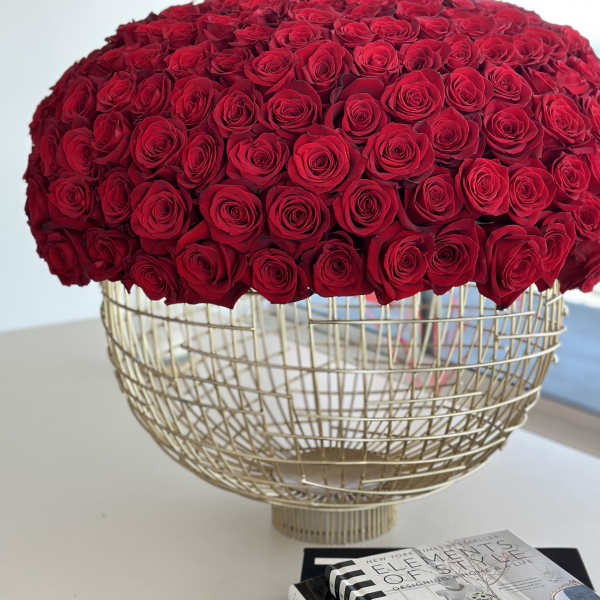 300 Exquisite Roses