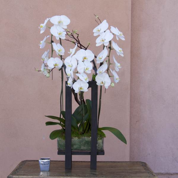 White orchid arrangement in a rectangular glass container on a black stand