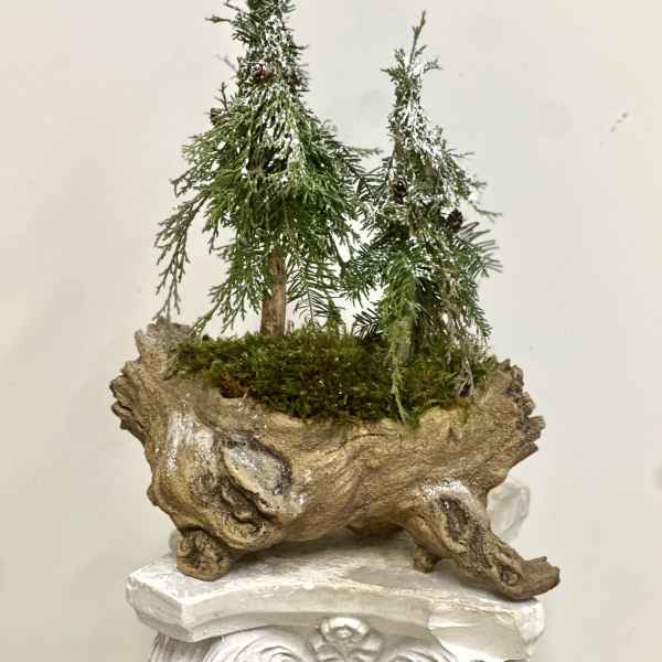 Evergreen Limited Collection by Westford Florist Art by Veny