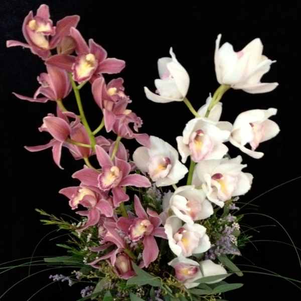 Pink and white orchids in a glass vase