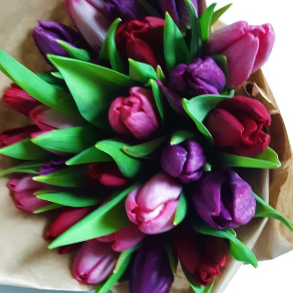 Bouquet of pink, purple, and red tulips wrapped in brown paper