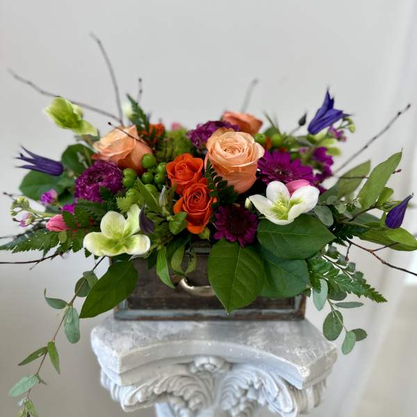 Spring Meadow Box by Westford Florist Art by Veny