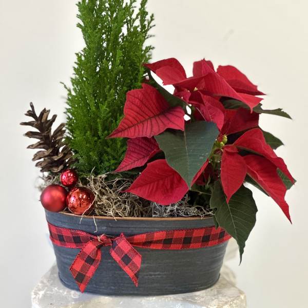 Country Charm by Westford Florist Art by Veny