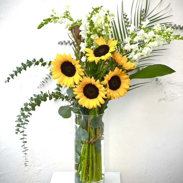 Sunflowers in a clear glass vase with white snapdragons