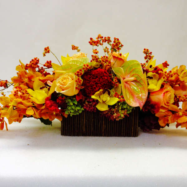 SOME KIND OF BEAUTIFUL