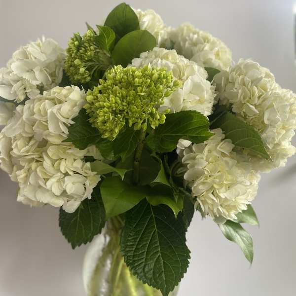 White hydrangea bouquet with green blooms in a glass vase