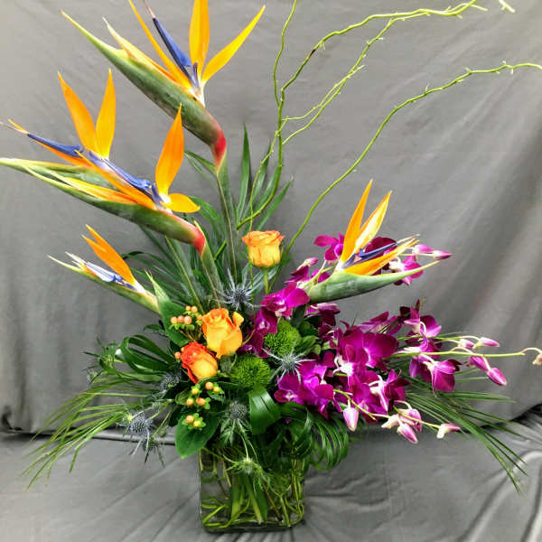 Tropical flower arrangement with bird of paradise, orchids, and roses in a glass vase
