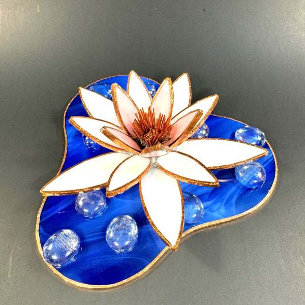 #A134 - White Water Lily