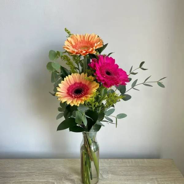Triple Gerber Daisies Vase