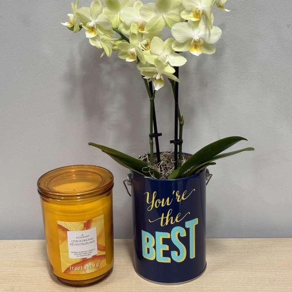 Best Yellow Orchid & Candle