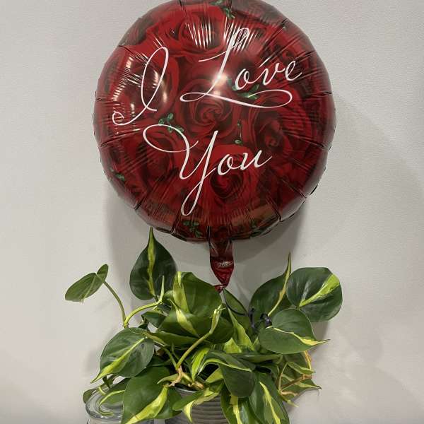 Red "I Love You" balloon above a potted green plant and candle jar