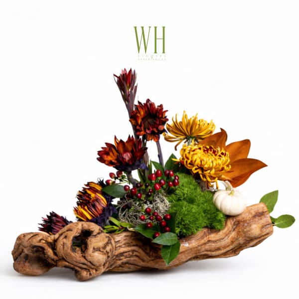 Autumn floral arrangement in a driftwood base with yellow and red blooms
