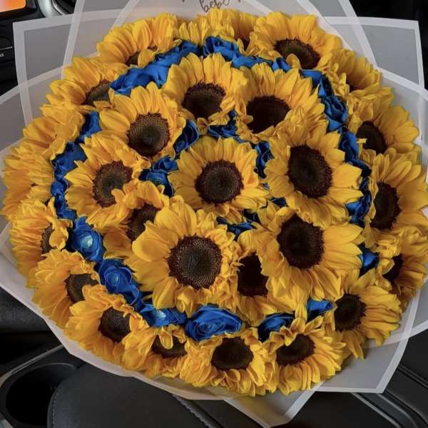 Sunflower& blue