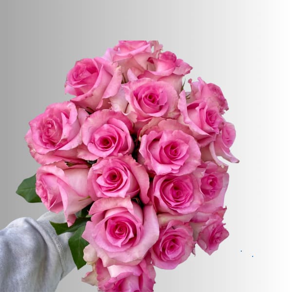 Handheld bouquet of pink roses