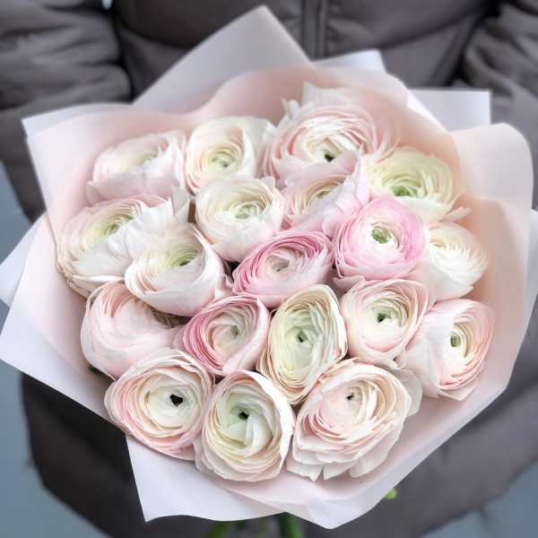 Bouquet of pale pink and white ranunculus wrapped in light pink paper