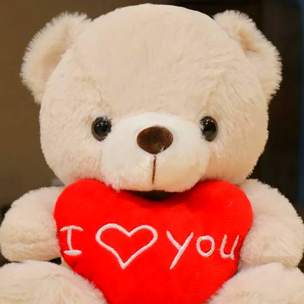 White teddy bear holding a red heart with "I love you" text