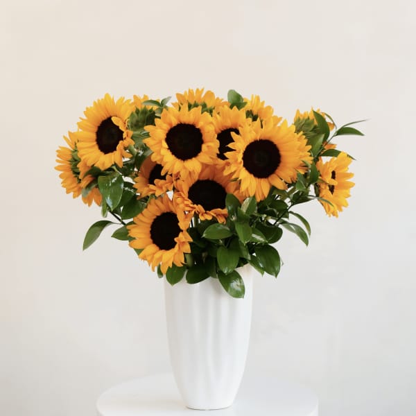 Sunflower arrangement in a tall white vase
