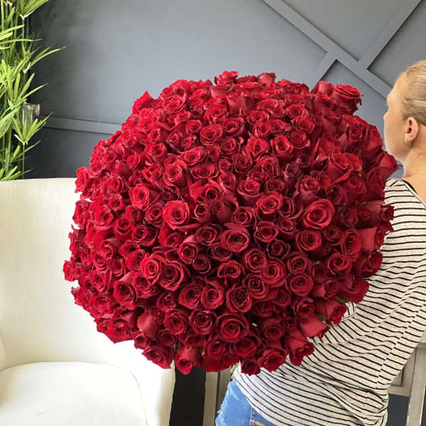 Large bouquet of red roses held by a person