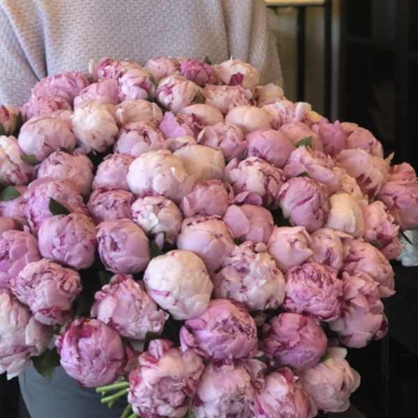 Large bouquet of pink peonies held by a person