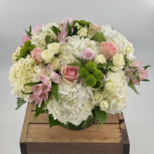 Carolina by BloomNation™ (BB)