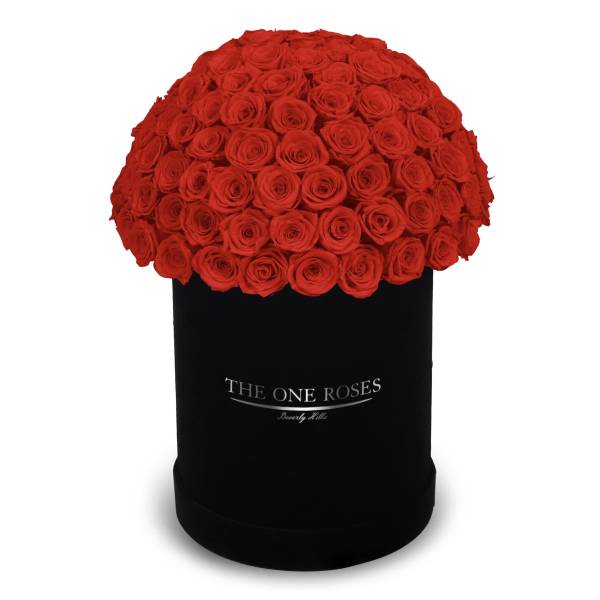Large dome of red roses in a black hatbox