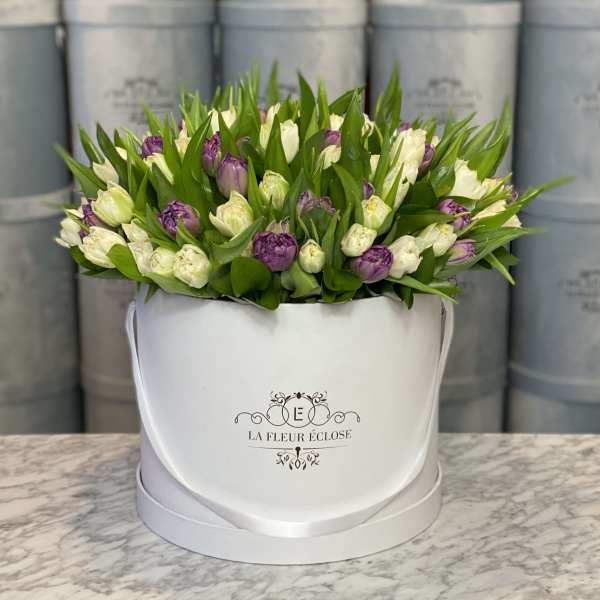 Purple and white tulips in a white hatbox