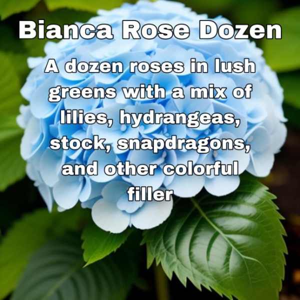 2025 Bianca Rose Exclusive Dozen Rose Arrangement