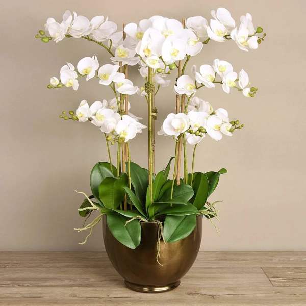 White orchids arranged in a bronze pot
