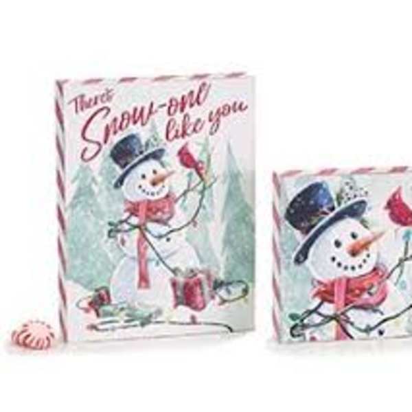 Two snowman-themed gift bags with winter designs