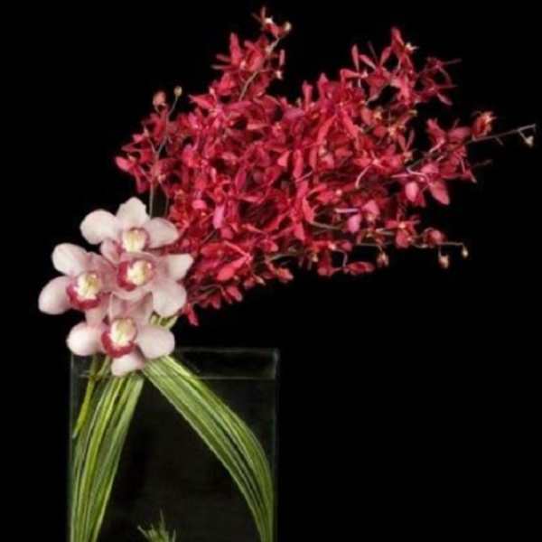 Pink orchids arranged in a tall glass vase with long green stems