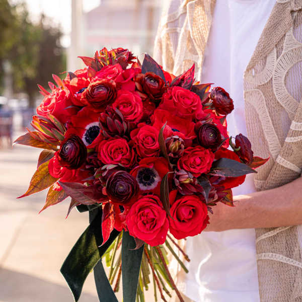 Bouquet of red roses and dark ranunculus held by a person