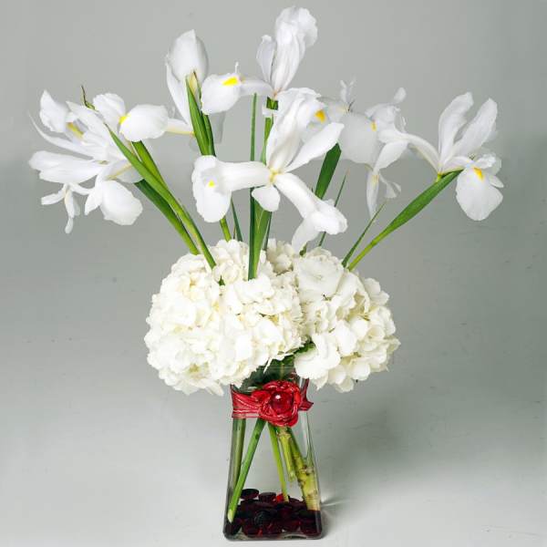 White iris and hydrangea arrangement in a clear square vase with red ribbon