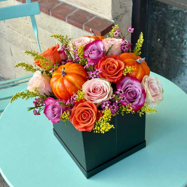 Roses and small pumpkins arranged in a black box
