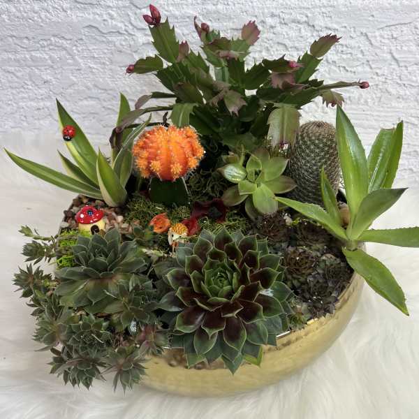 Succulent arrangement in a gold bowl with a Christmas cactus and small decorative figures