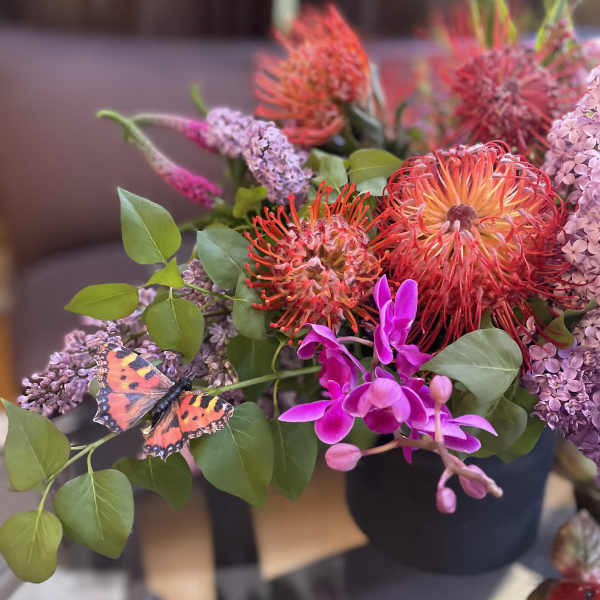 Bouquet of orange pincushion blooms and purple flowers with a butterfly accent