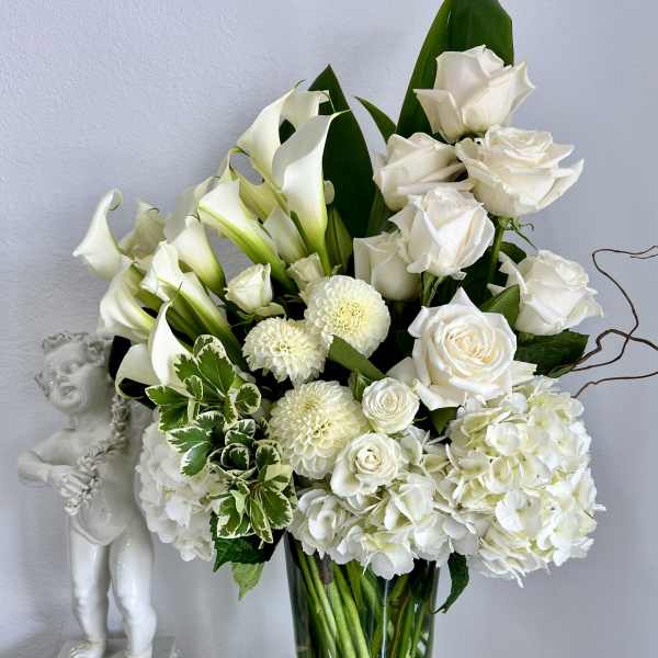 Clean and Contemporary Splendor