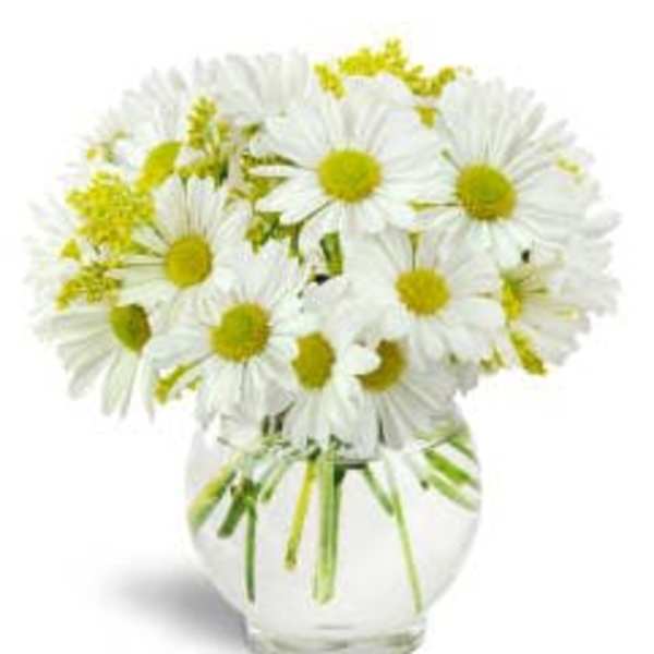 White daisy bouquet in a clear glass vase