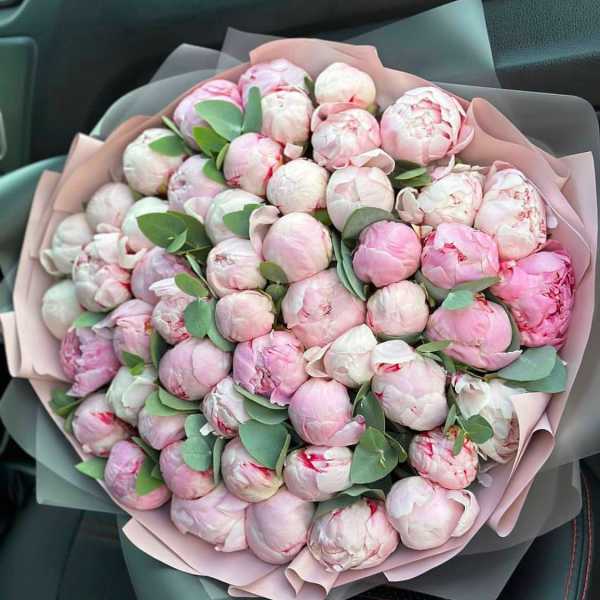 Large bouquet of pale pink peonies with eucalyptus wrapping
