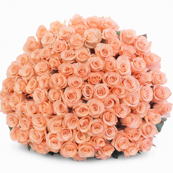 200 Peach Rose Bouquet