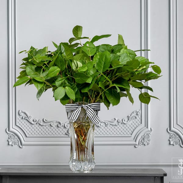Green leafy bouquet in a clear glass vase with a striped ribbon