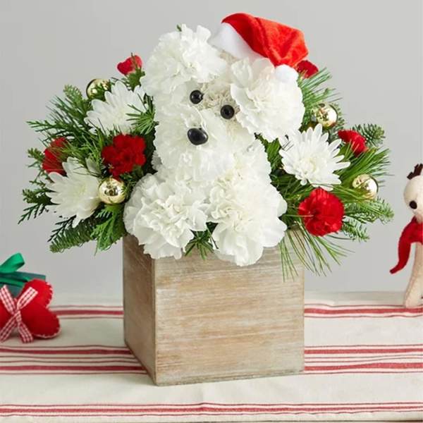 White floral dog arrangement in a wooden box with a Santa hat