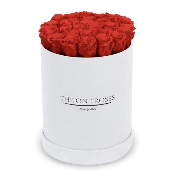 Red roses arranged in a white cylindrical box
